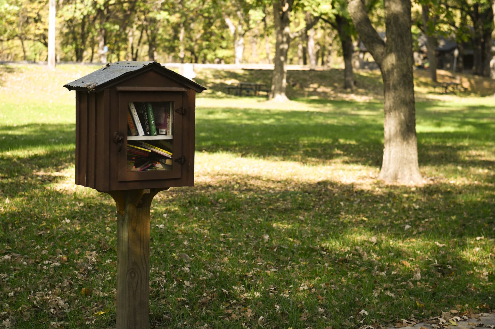 Ramsey Park Camp Ground Library