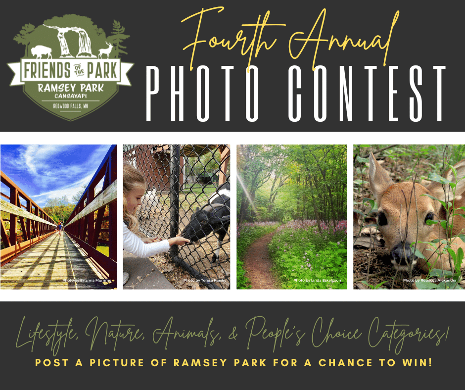 Fourth Annual Photo Contest Infographic